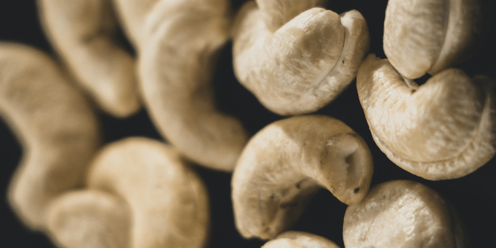 پرورش بادام هندی – معرفی 7 روش در فراوری بادام هندی