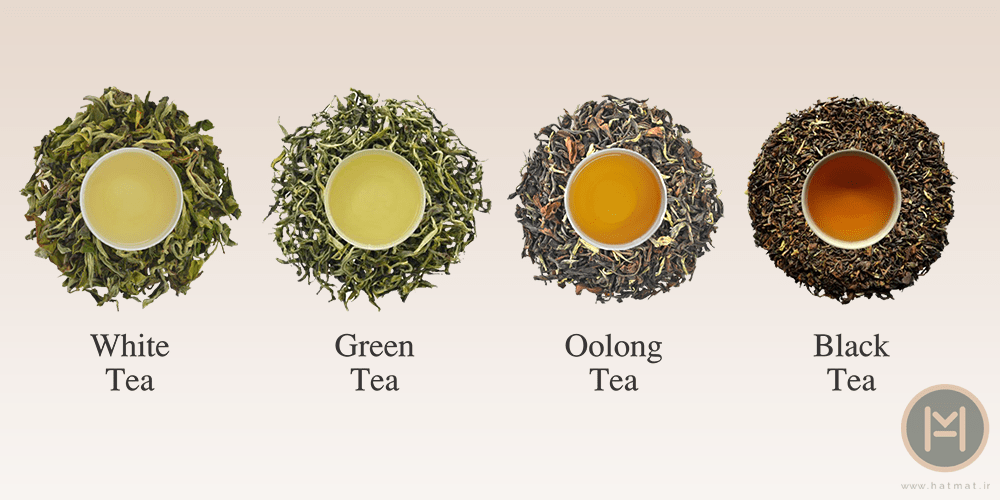 5 نوع اصلی چای