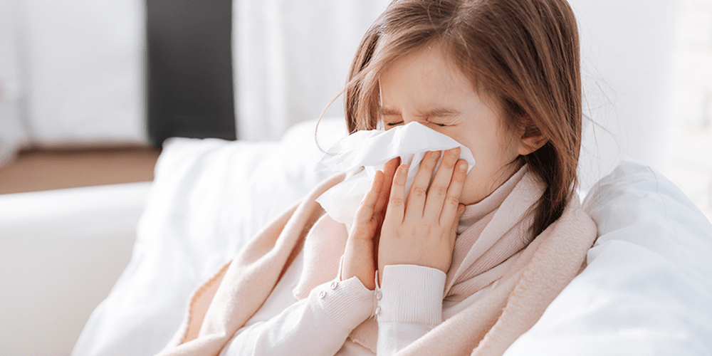 هفت گیاه سرماخوردگی – درمان سرماخوردگی با 7 گیاه دارویی