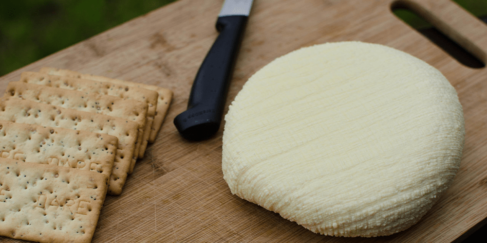 پنیر خانگی - 4 روش تهیه پنیر خانگی
