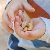 7 خاصیت بادام هندی در تغذیه کودکان