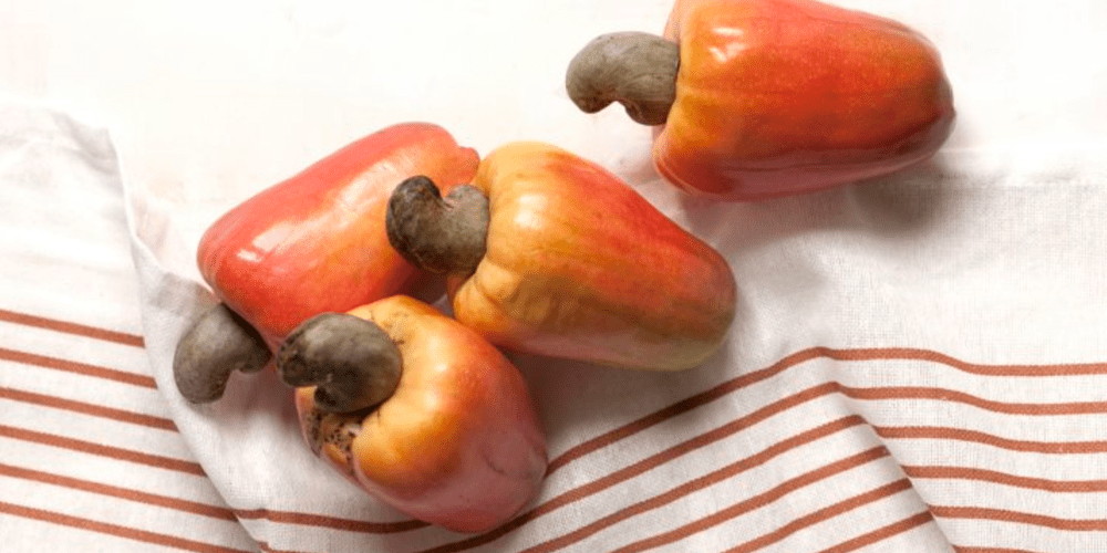 میوه بادام هندی – 8 ارزش تغذیه ای میوه بادام هندی