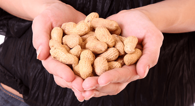 12 فایده خوردن بادام زمینی در بارداری و منع موارد مصرف آن