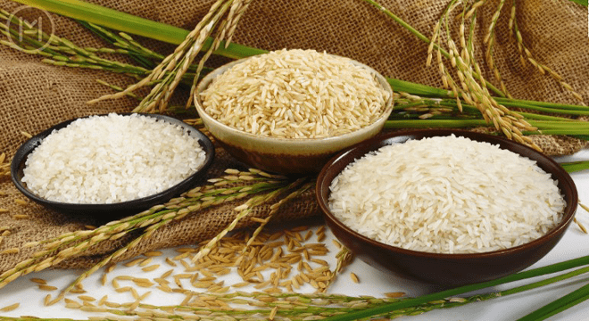 شباهت های برنج صدری و هاشمی