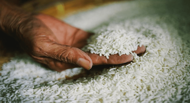 بهترین زمان خرید برنج ایرانی 1401 – کی برنج بخریم؟